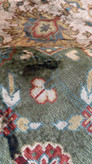 فرشینه مخمل طرح سلطان اباد سبز
